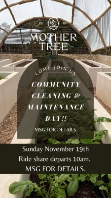 e11a46a0-2fa1-4dc8-a034-a5bd69c58033