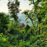 Group logo of Sports Players