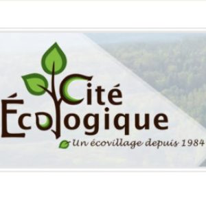 Group logo of Sports Players