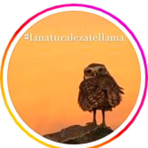 Group logo of Sports Players