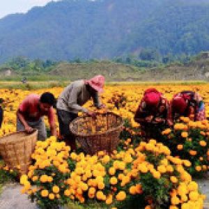 Group logo of Sports Players